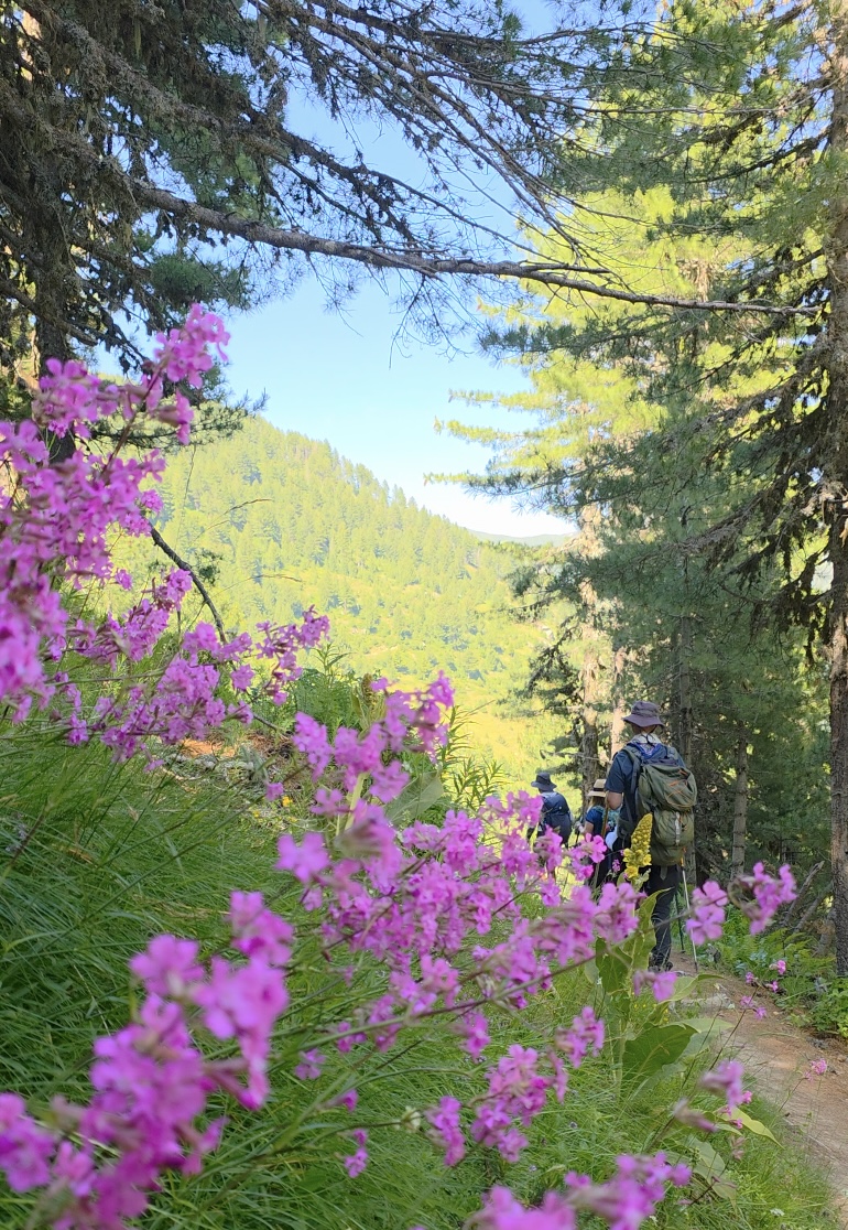 Hiking &
Trekking