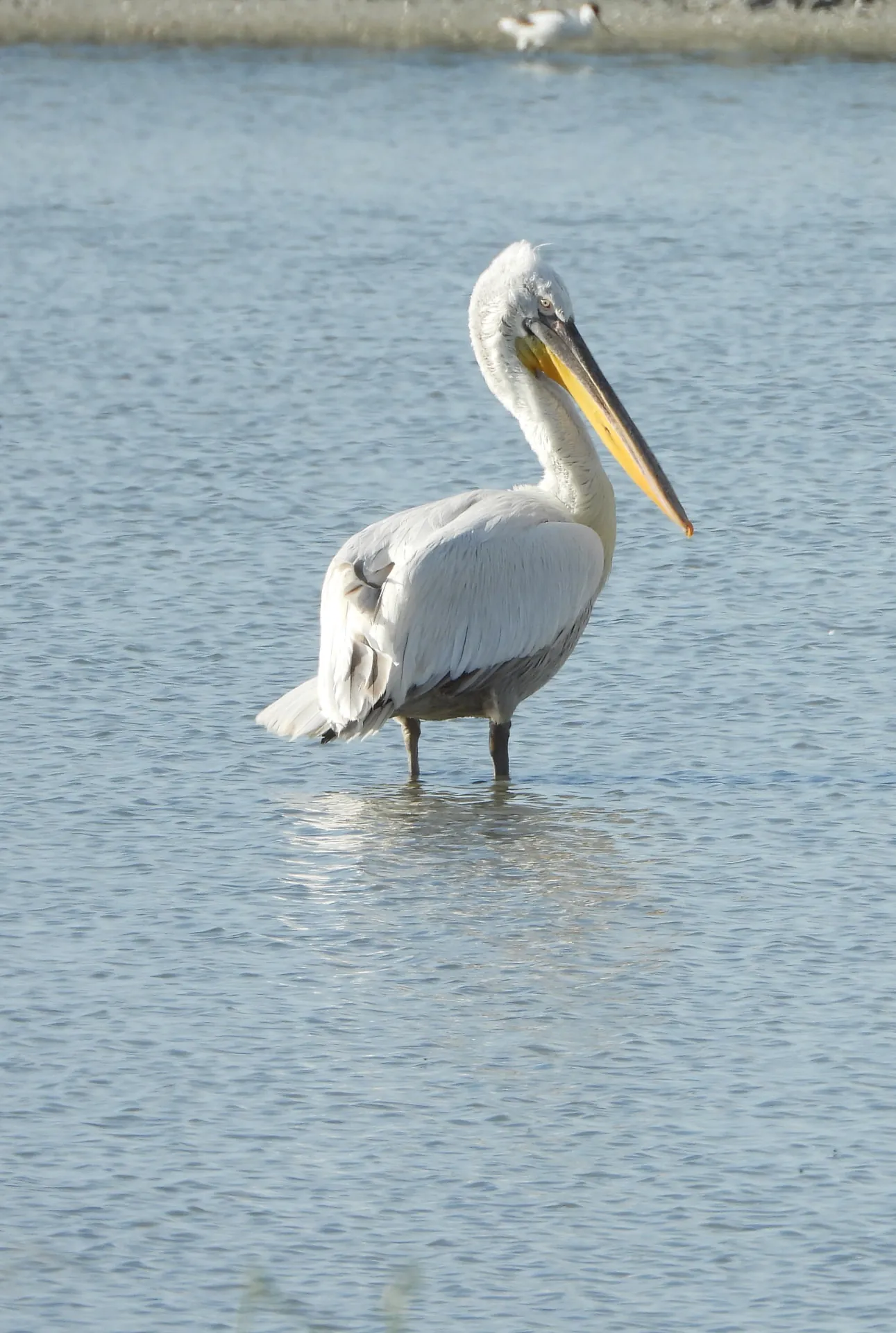 Wildlife &
Nature