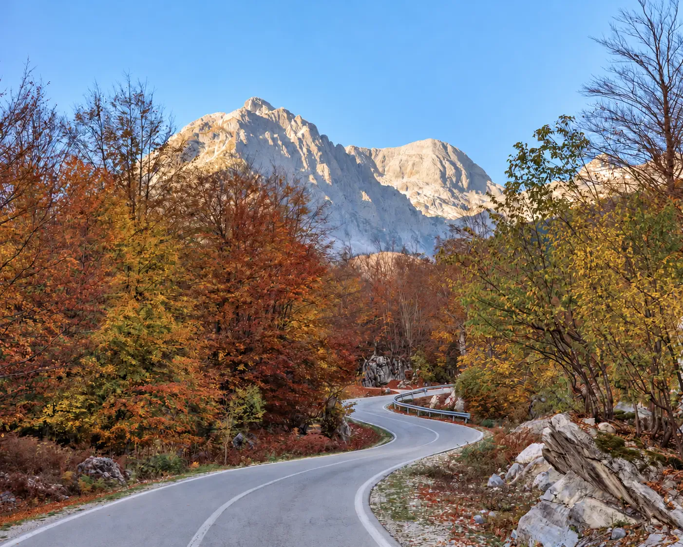Self-Drive Tours