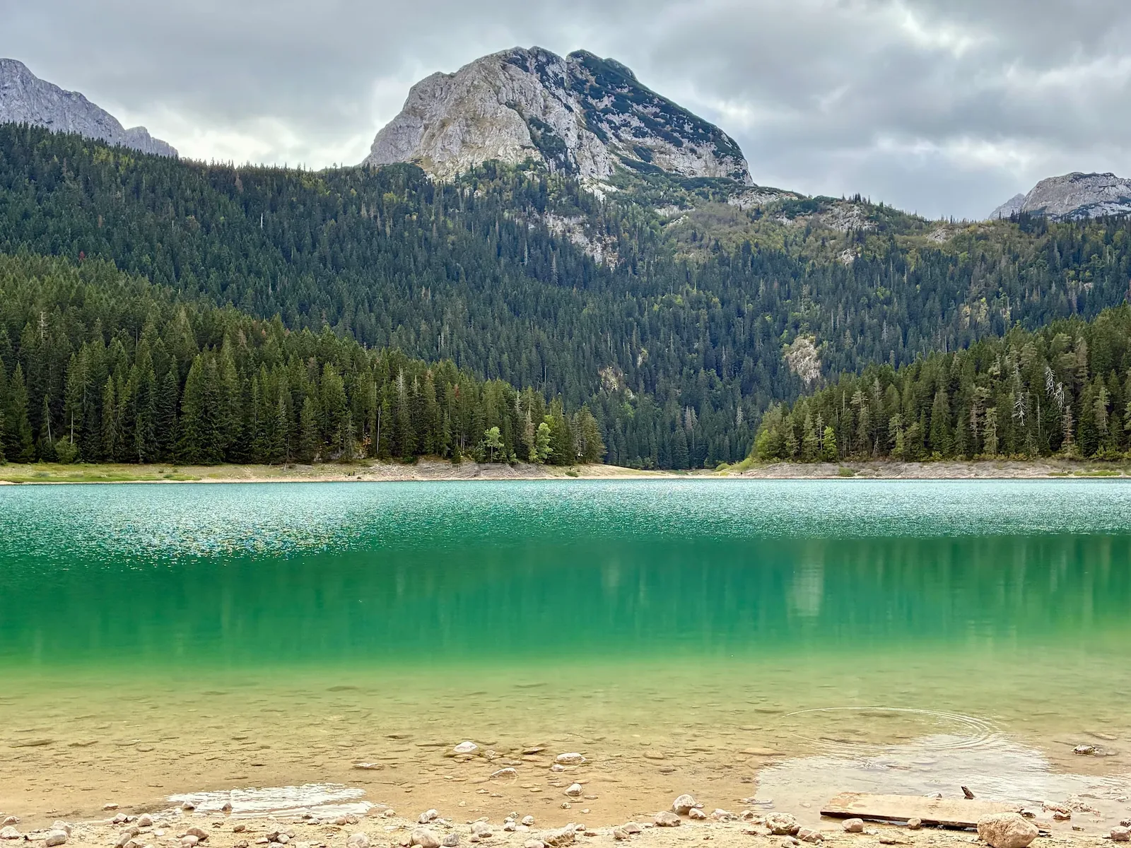 Black Lake beneath forested slopes and peaks in Durmitor National Park