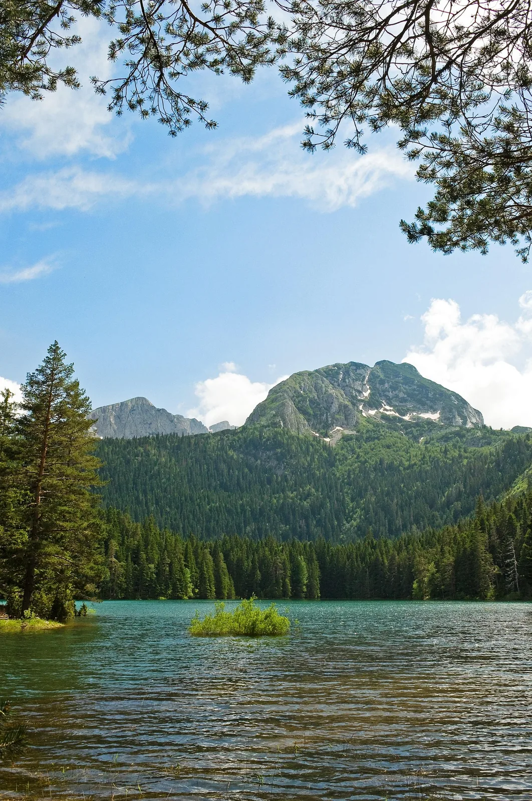 Black Lake framed by pine trees and Durmitor peaks