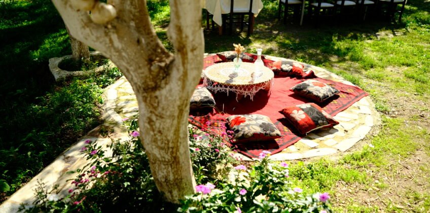 21321701-AAE8-4A2C-AE99-02BFDFB3990A