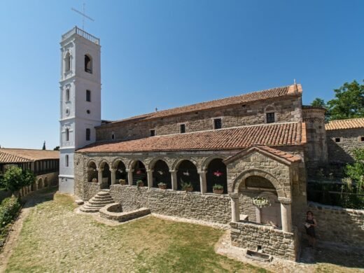 Ardenica 1
